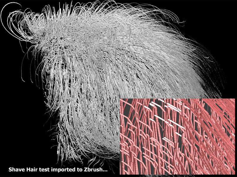 shave_to_zbrush_test.jpg
