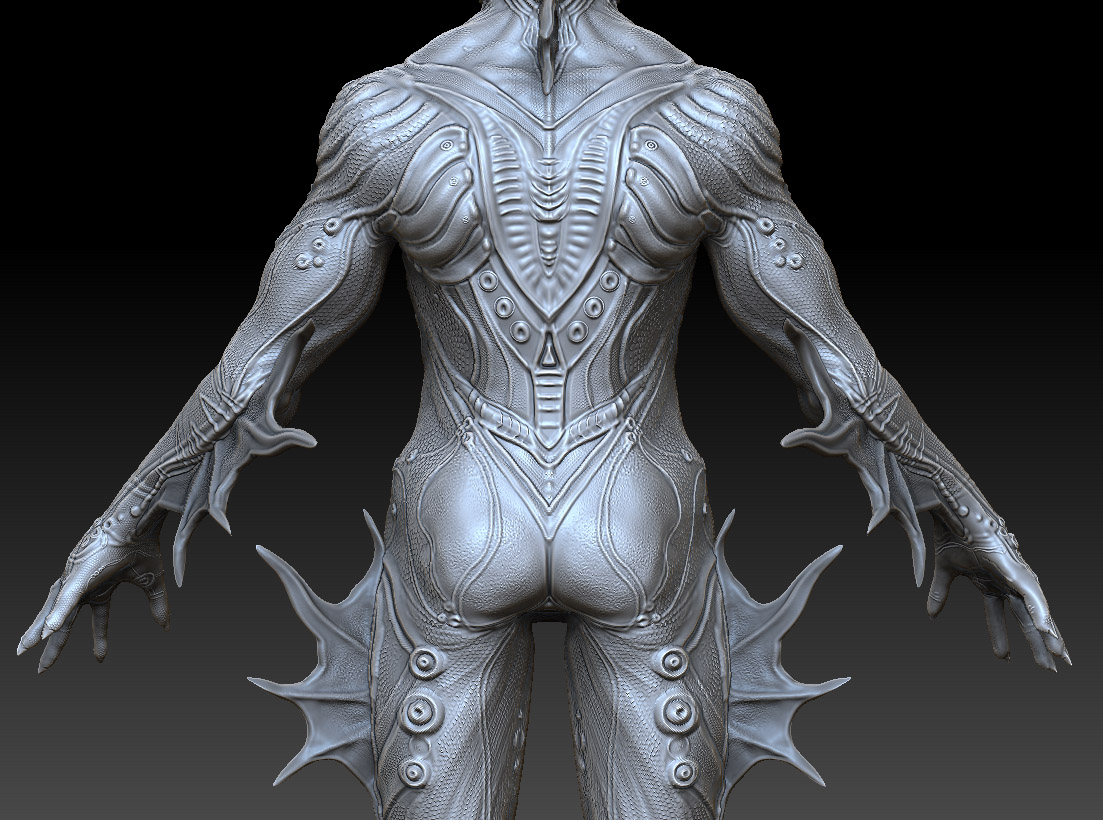 BackDetail01.jpg