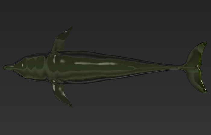 dolphin4.png