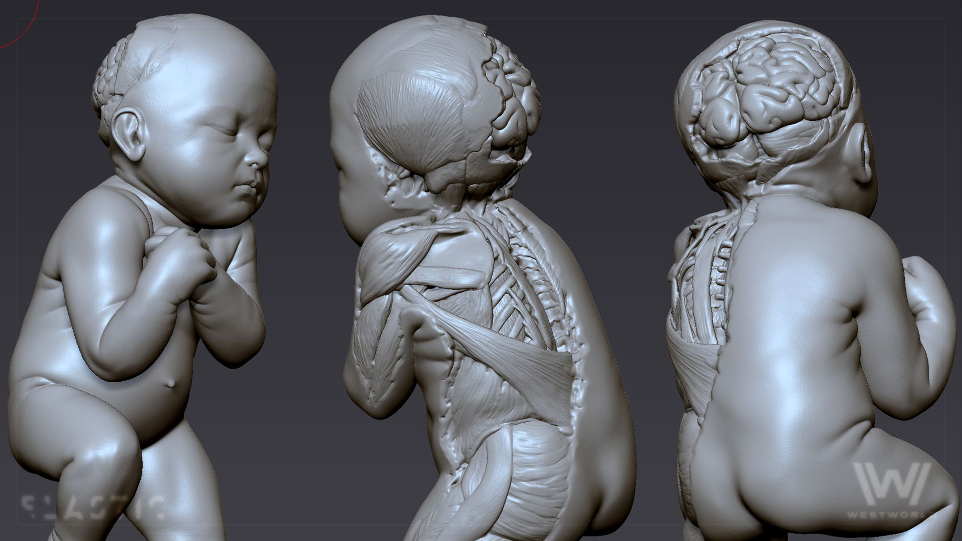 ww2_zbrush_newborn_02.jpg