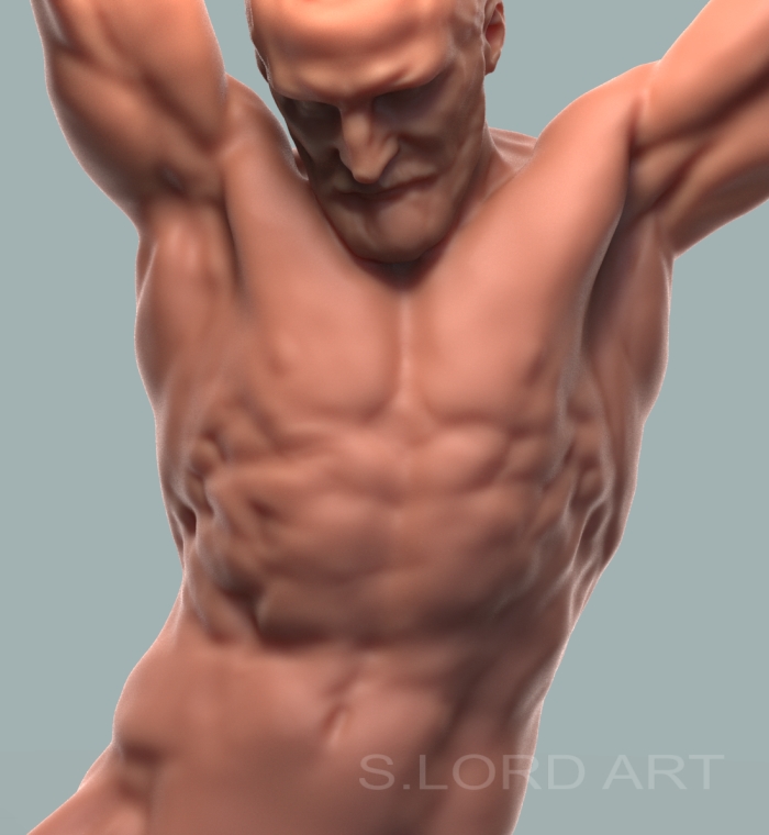 torso4b.jpg
