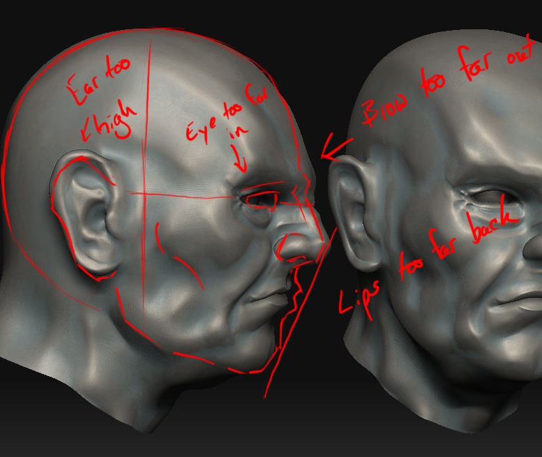 head.jpg