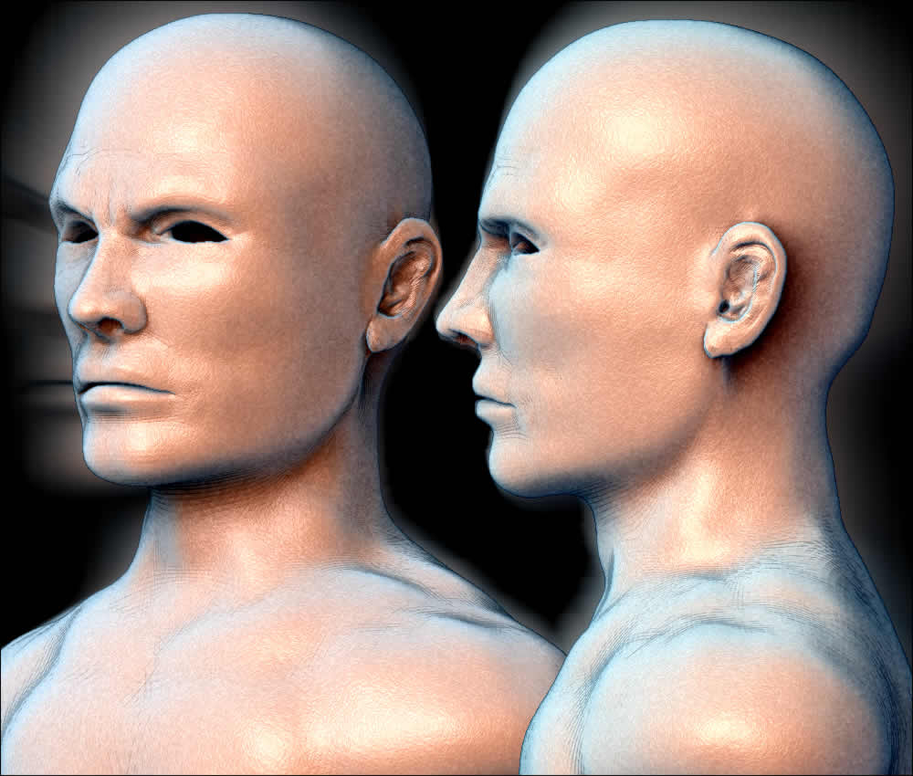 head6.jpg