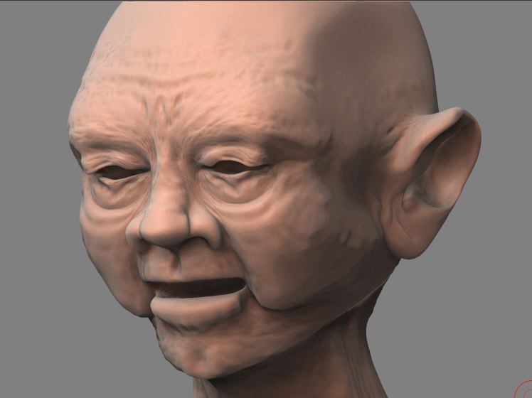 head.jpg