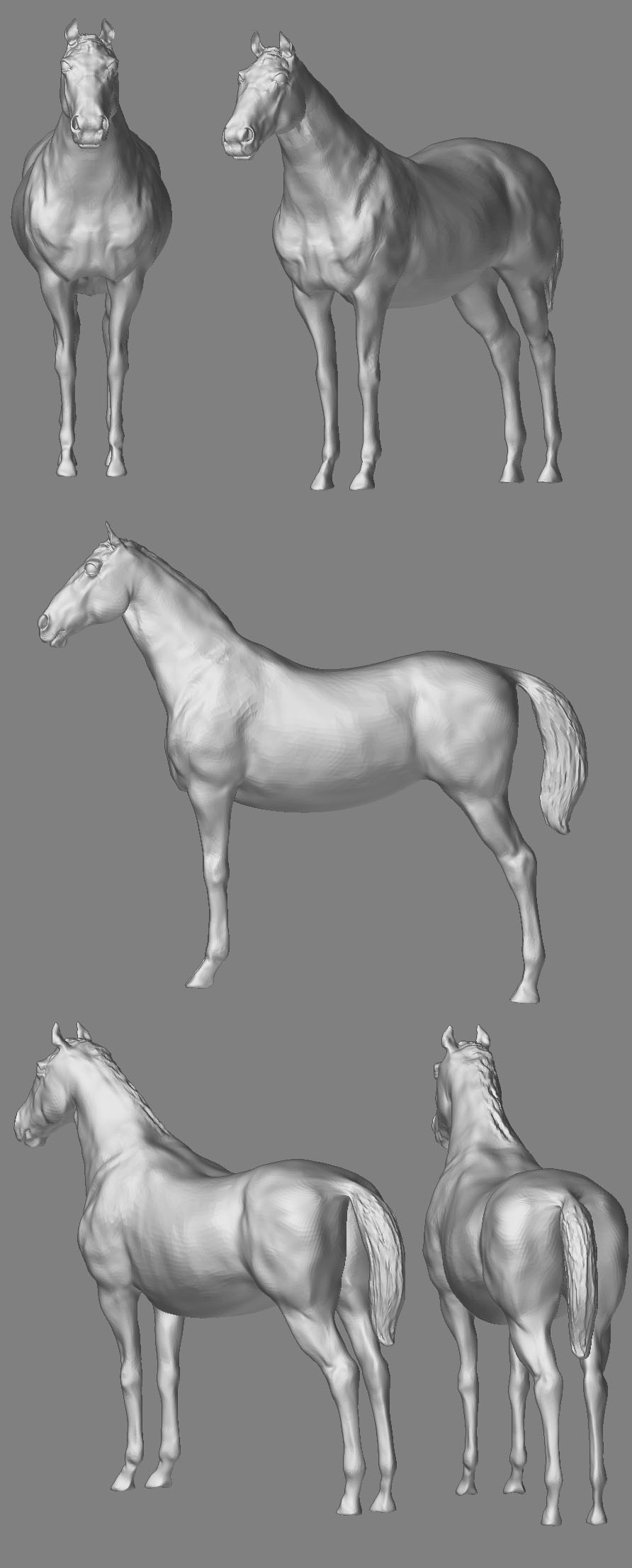 horse3.jpg