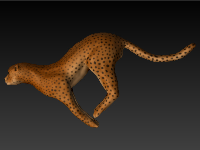 textured cheetah.jpg
