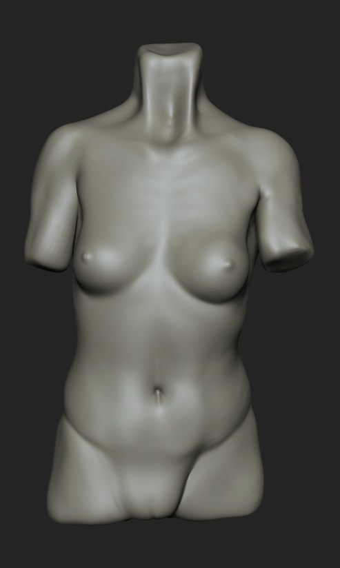 FemaleTorso.jpeg