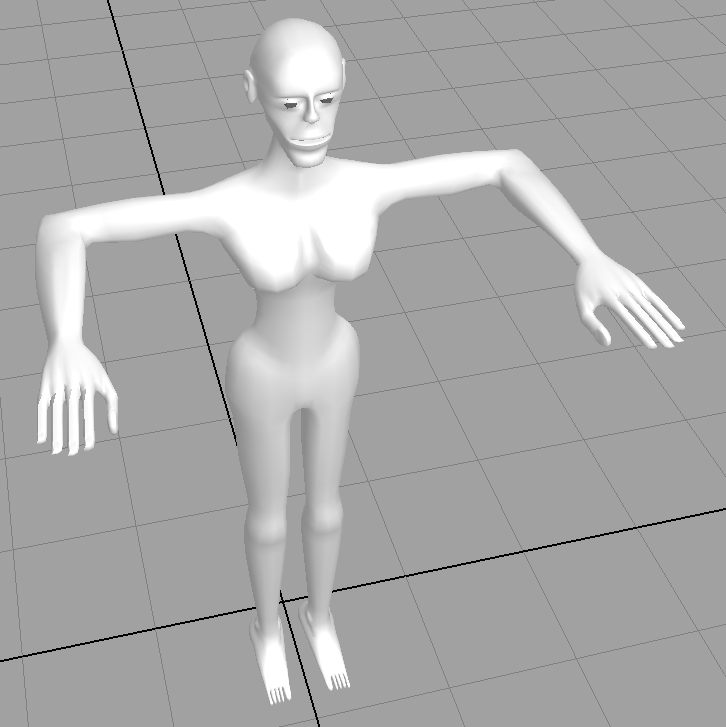 human_female_wip_2.gif
