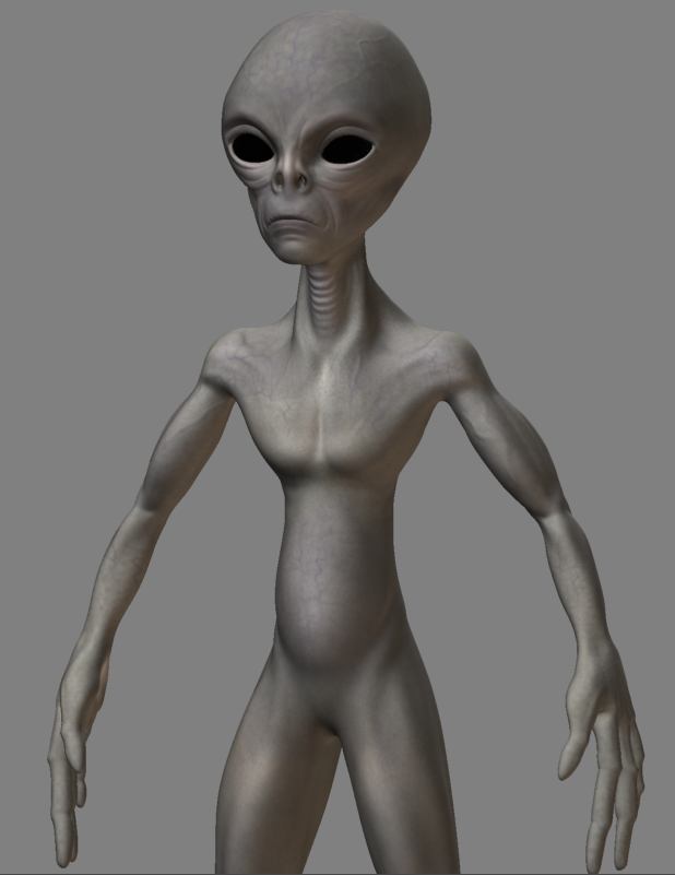 Wip4.JPG