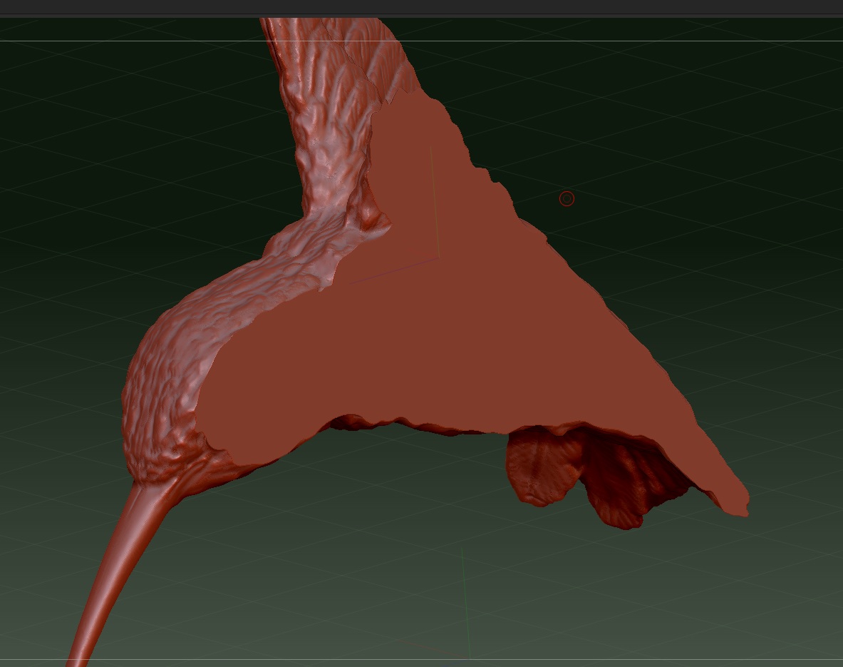 hummingbird pic.jpg