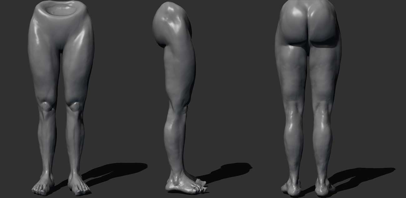 leg-study.jpg