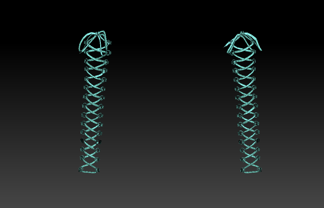laces.png