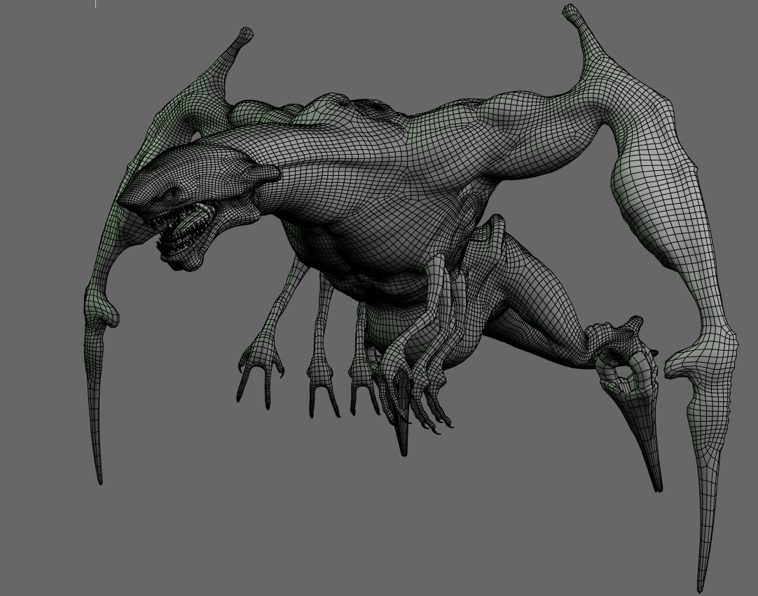 02_FinalWireframe.jpg