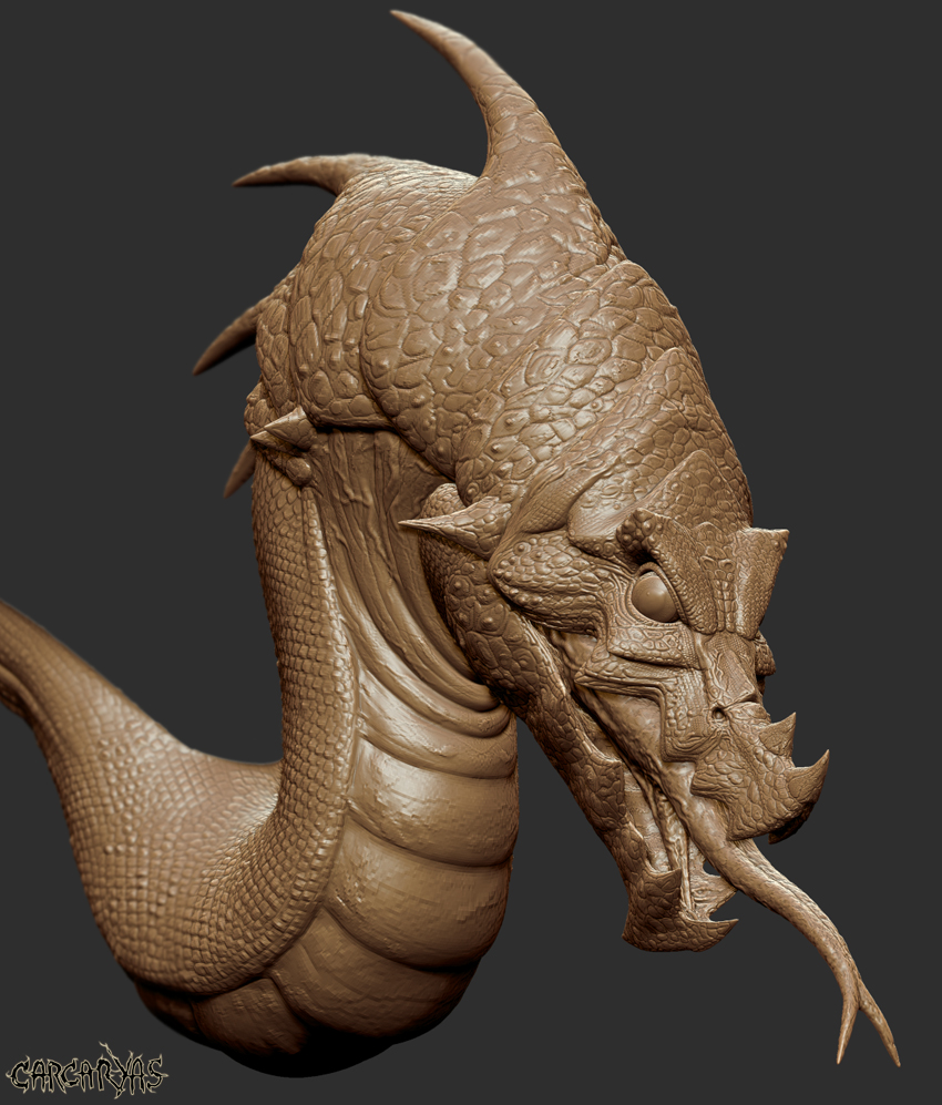 head_carcaryas.jpg