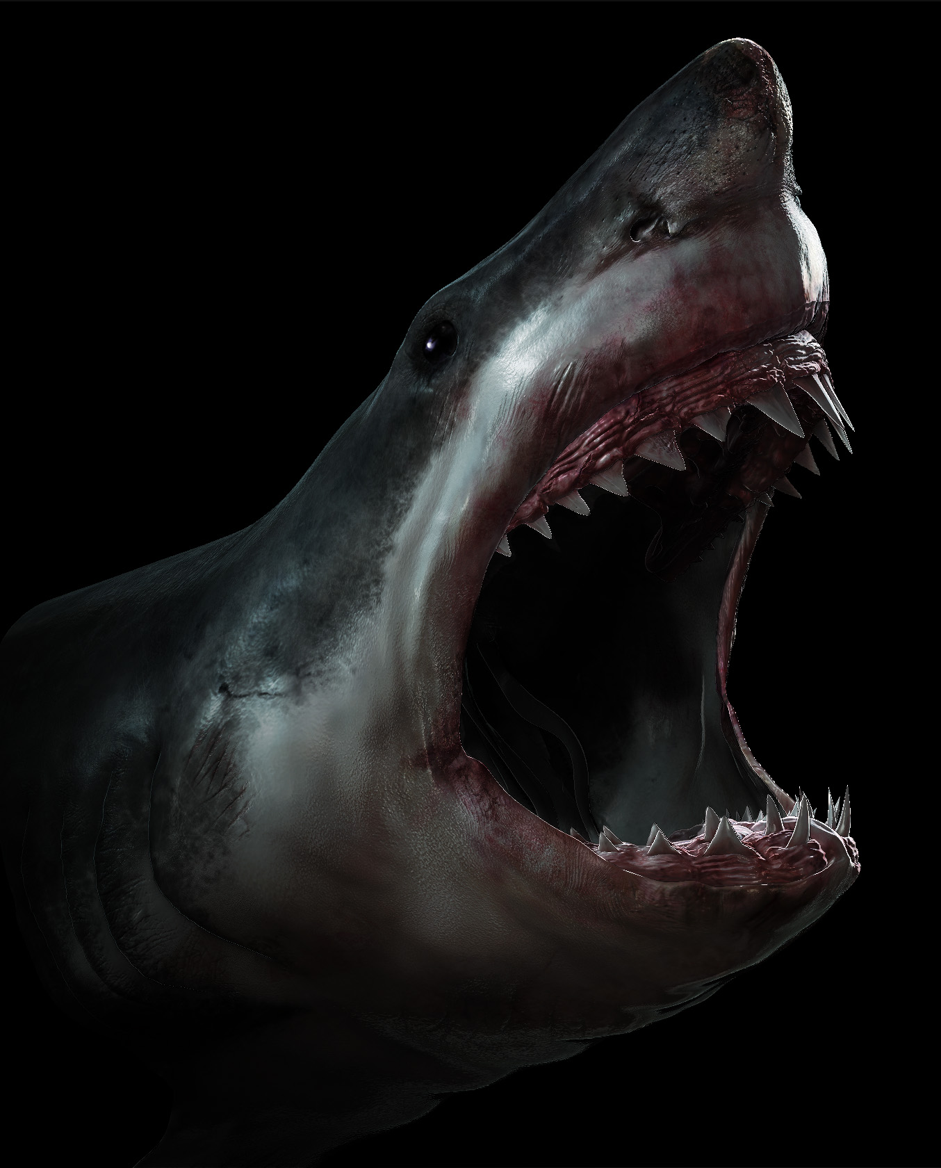 Shark 1a grab.jpg