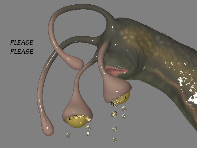 snail3.jpg