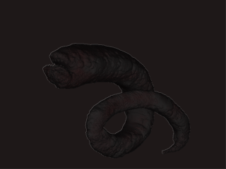 Strange Worm.gif