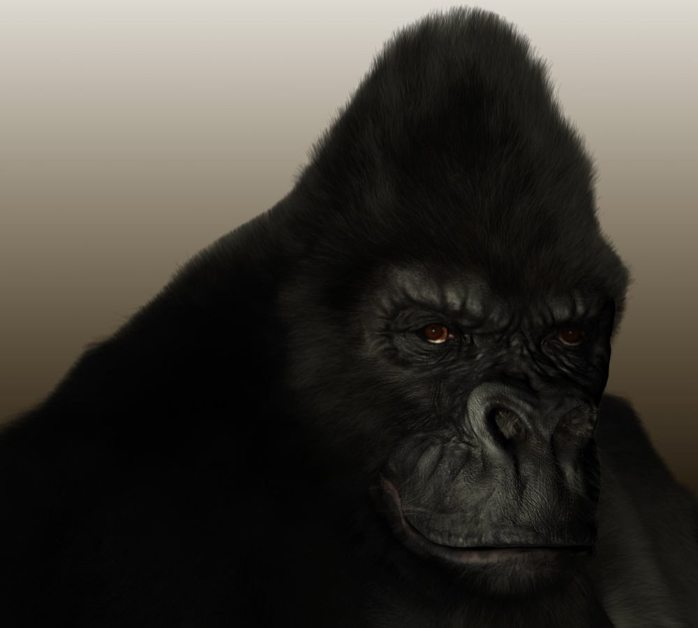 gorilla_3.jpg