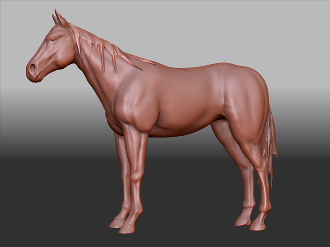 horse.jpg