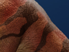 parasaur_wip06_thumb.jpg