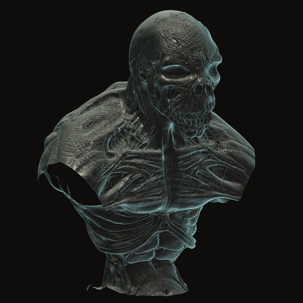 torso.jpg