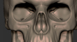 skull_thumb_zb.jpg