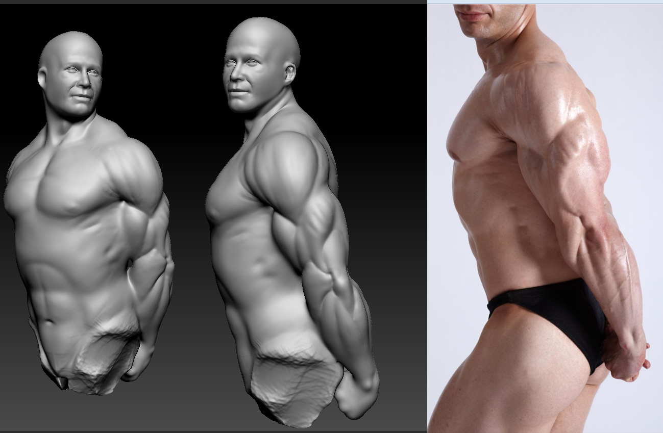 anatomie-studie2.jpg