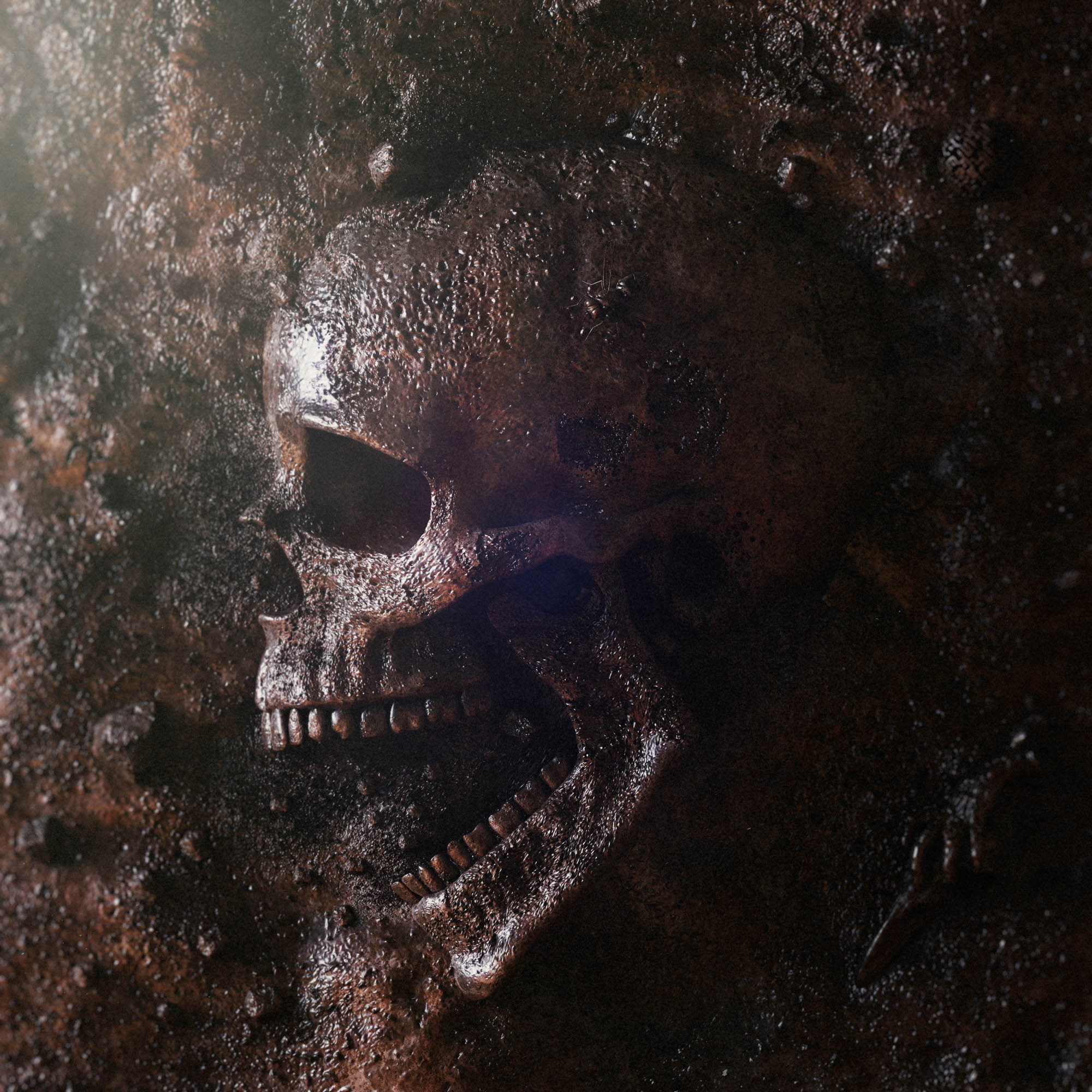 Skull_V1_2000x2000.jpg