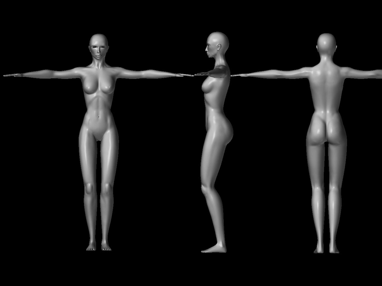 front_back_side.jpg