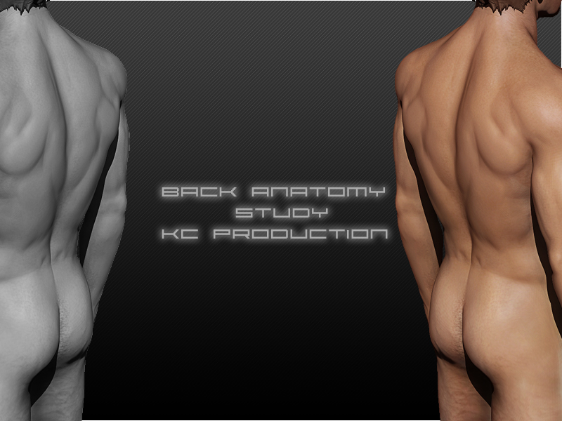 back_anatomy_kcprod.jpg