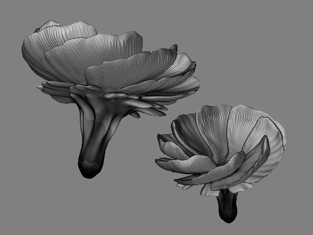 masked_flower.jpg