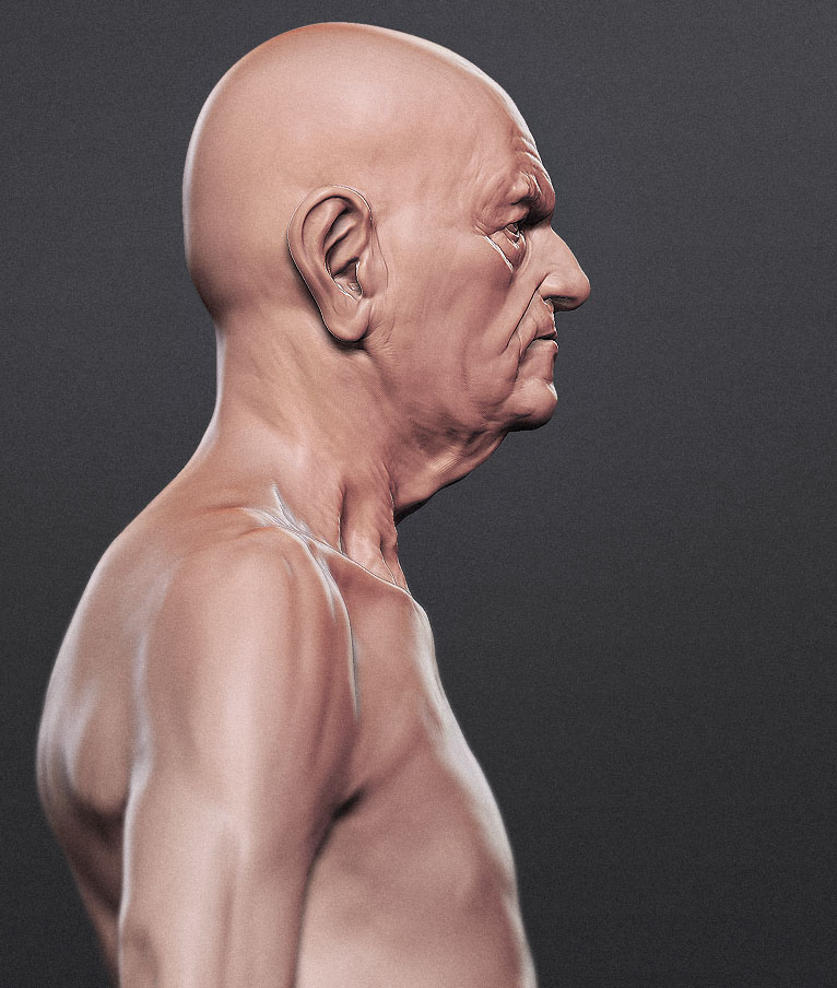 torso007.jpg