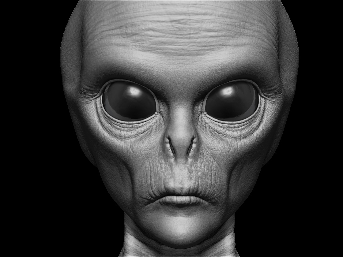 ZBrush_View_02.jpg