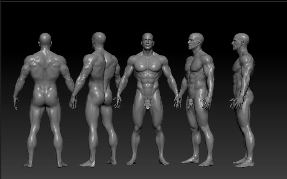 Body.jpg