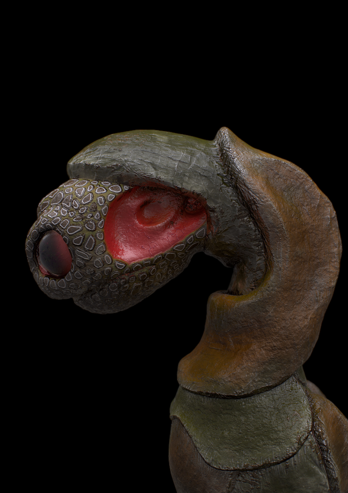 turtle_dragon_03.jpg