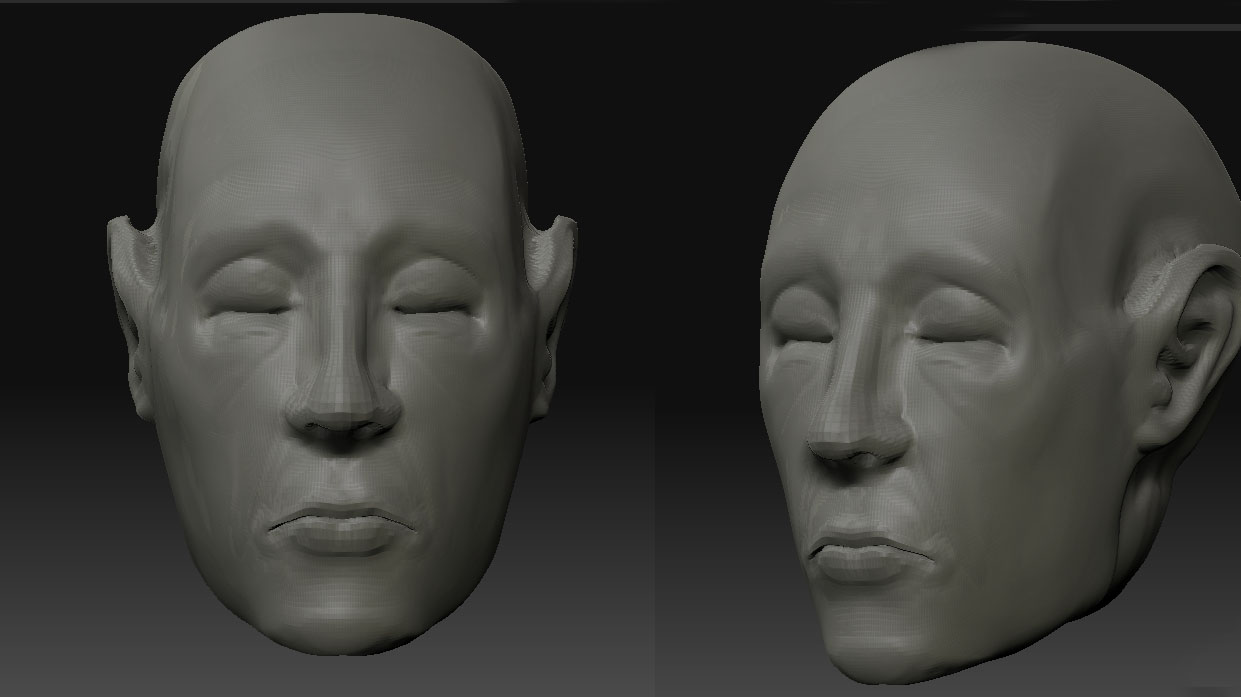 Face Study.jpg