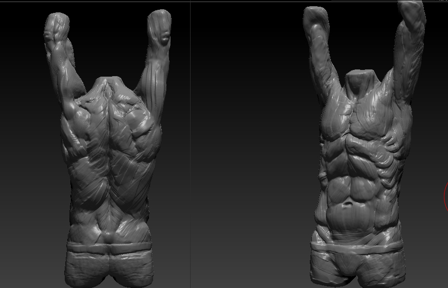 Torso_Week_2DEgree180.jpg