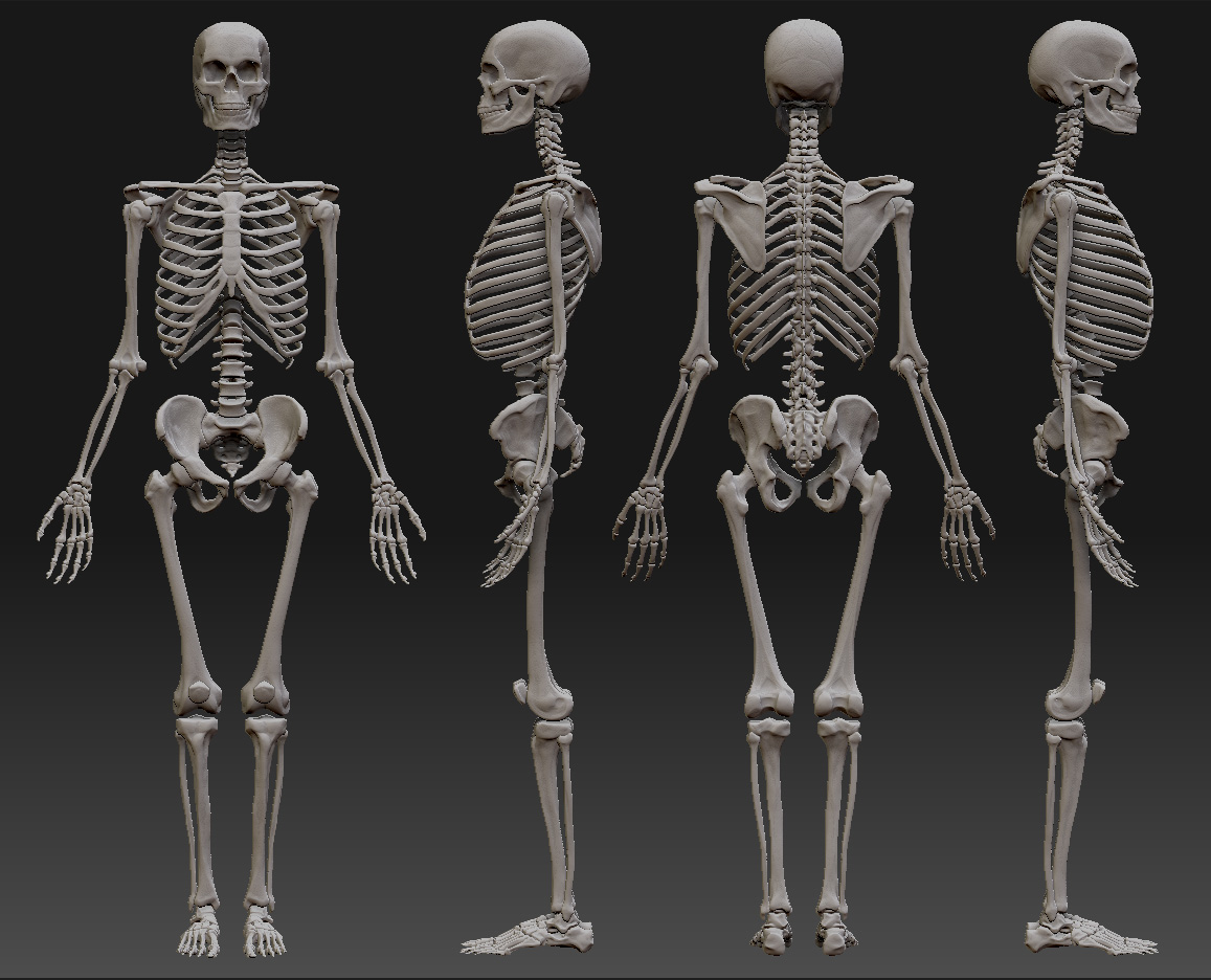 FinalZbrushSculpt.jpg