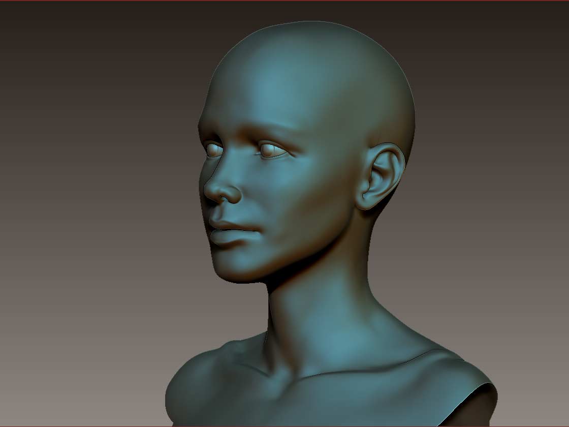 Female-Head-3.jpg