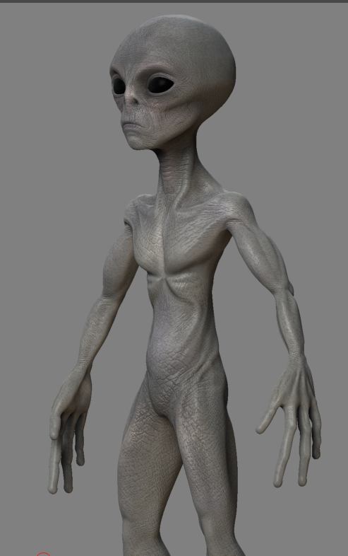 Wip11.JPG