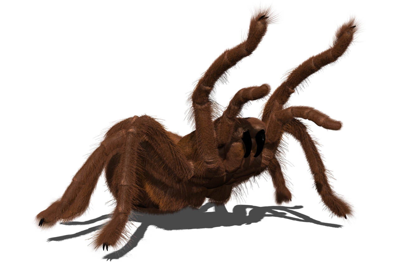 spider paint tuesday.jpg