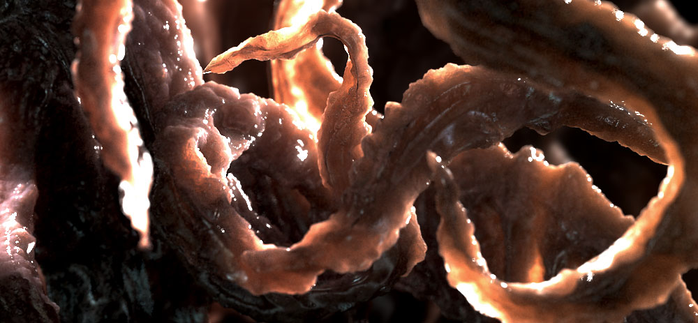 Alien_genital.jpg