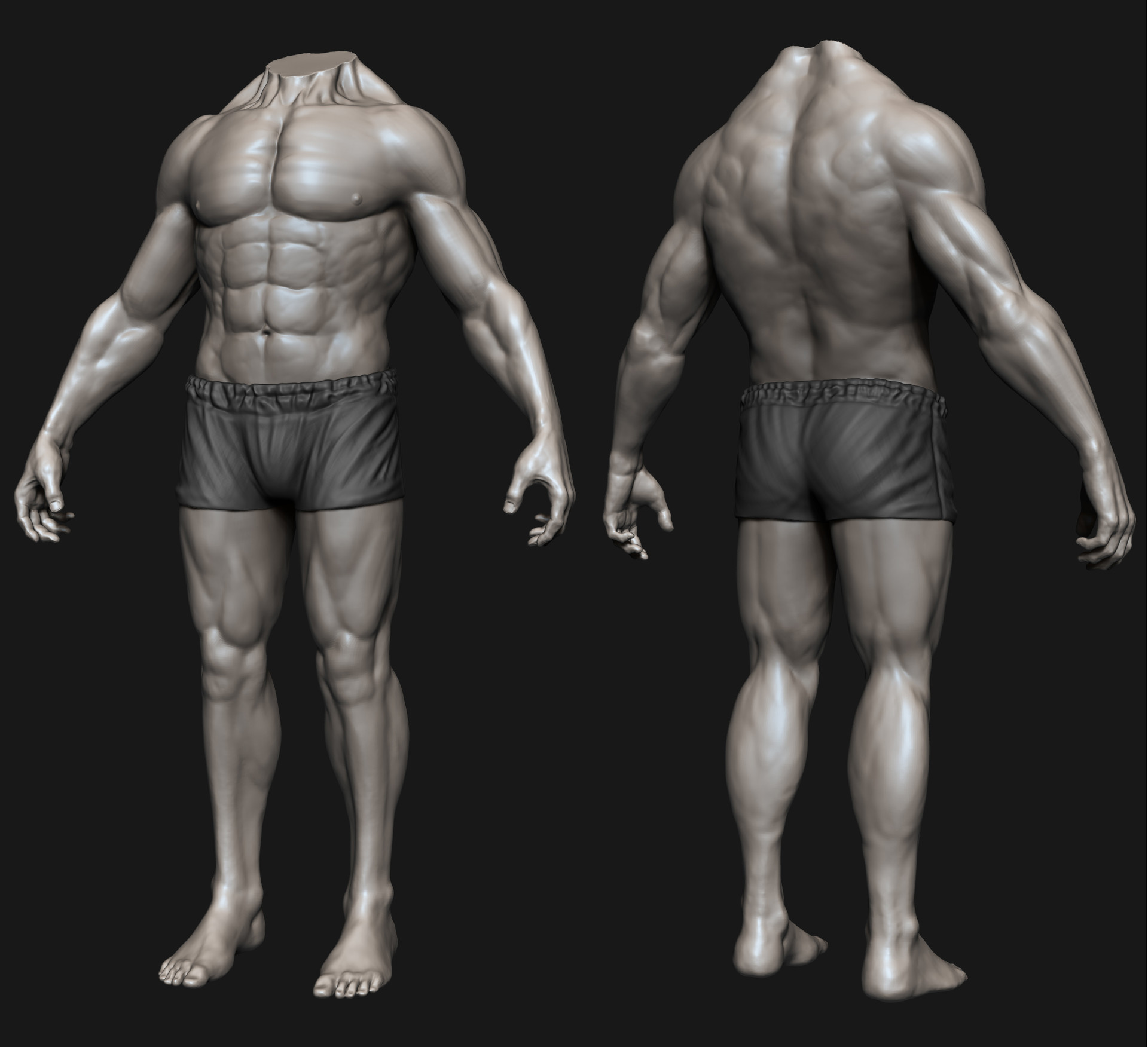 Anatomy.jpg