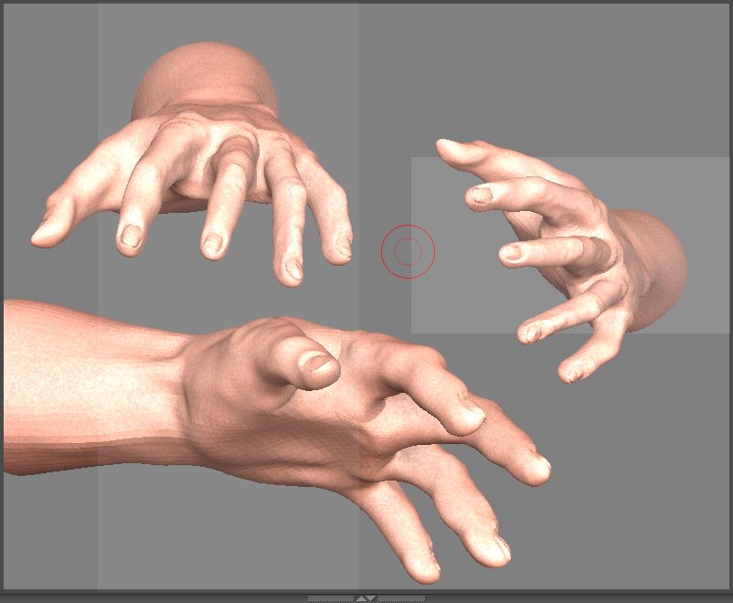 MANO2.JPG