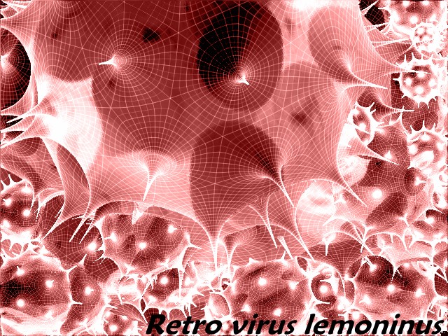 lemo.jpg