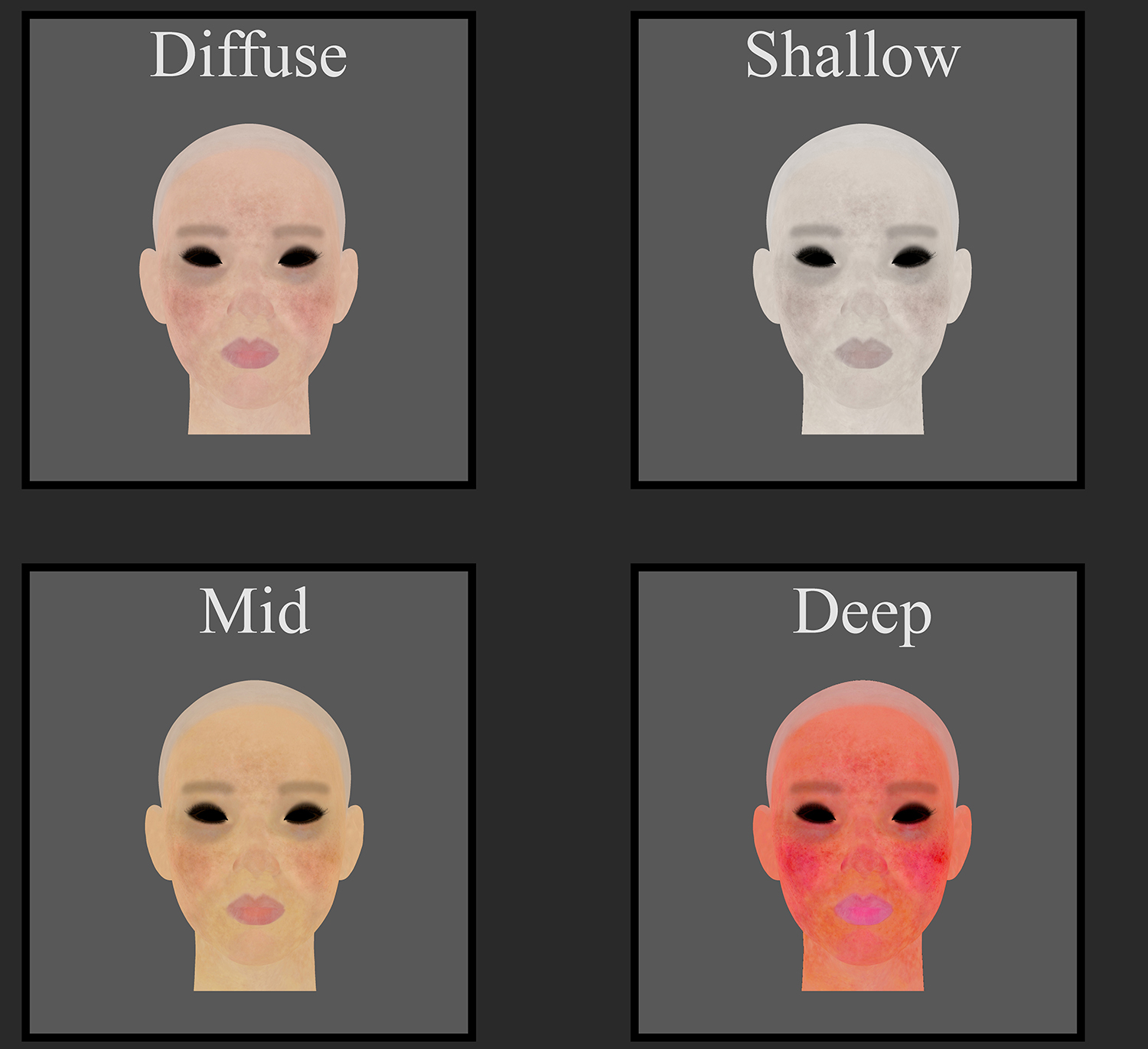 SkinBreakdown.jpg