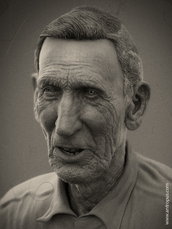 roysepia02.jpg
