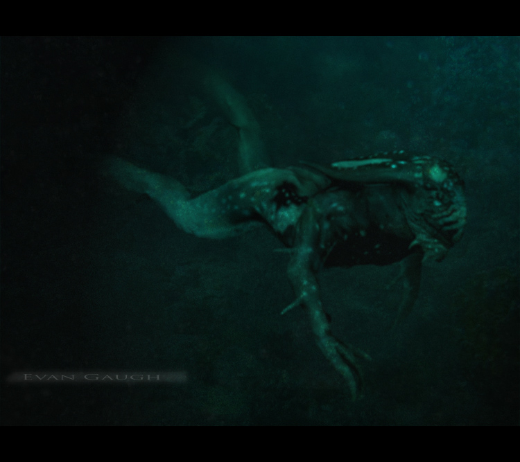 KalmarUnderWater.jpg