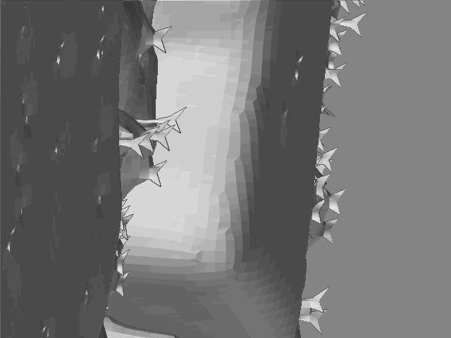 Spiked SurfaceCloseup1.jpg