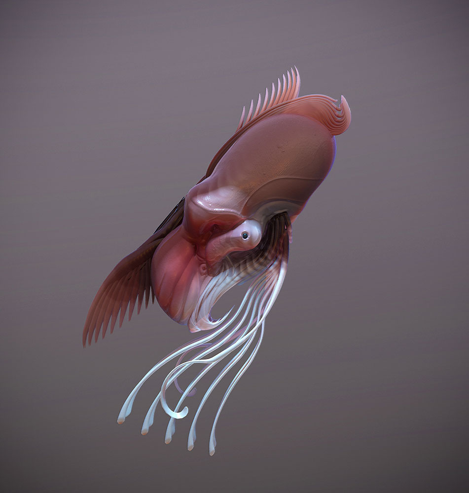 squiddy02_WAY.jpg
